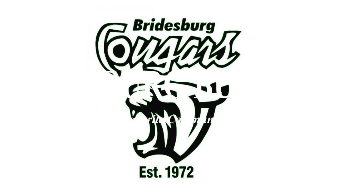 The Bridesburg Cougars